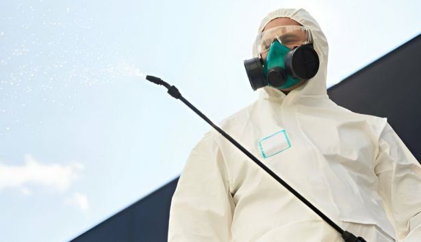 Pest Control Derrimut